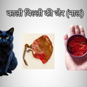Kaali billi ki jer - काली बिल्ली की जेर (नाल)
