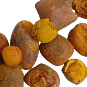 गौलोचन (गौपित्त)-Goulochan असली ठोस वलय वाला - 5 ग्राम पैकिंग