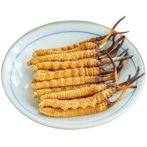 कीड़ा जड़ी - jadi buti  (Cordyceps Sinensis) original Himalayas live plant | yarsagumba [𝐁𝐞𝐬𝐭 𝐎𝐫𝐢𝐠𝐢𝐧𝐚𝐥 𝐐𝐮𝐚𝐥𝐢𝐭𝐲] 10 GM