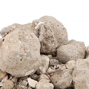 बंसलोचन असली - Banslochan Asli – Bamboo Camphor – Bambusa Arundinacea Willd 250 GM