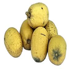 हिंगोट फल 5 नग Hingot Frute