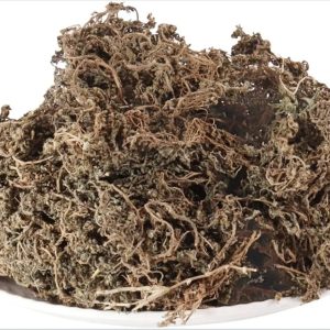 NAKH CHIKNI  - Dregea Volubilis - Sneeze Wort 100 Grams Pack