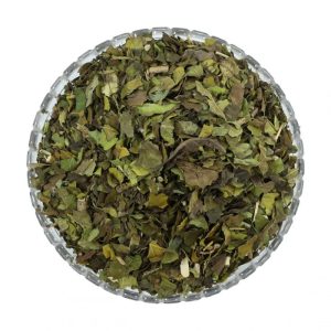 Adusa Vasaka (Leaf) अडूसा - Adhatoda Vasica - Adulasa - Wasaka - Bansa Green - Malabar Nut  100 GM by Dhanvantari Ayurved