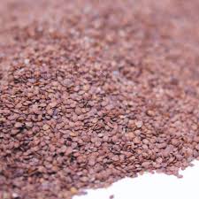 GULABI LAJWANTI SEEDS 50 GM