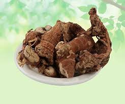 कुलंजन- Kulanjan root  - Kulinjan - Paan Jadd - Alpinia Galanga Wild - Siamese Ginger - Thai Ginger -Khulanjan - Chitharathai