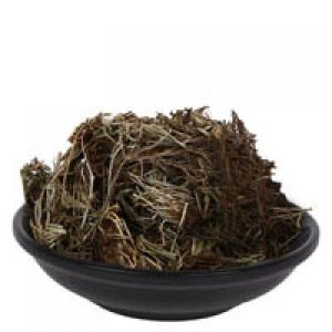 Mayur Shikha – Adiantum Incisum 100 GM