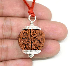 सिद्ध पंचमुखी रुद्राक्ष