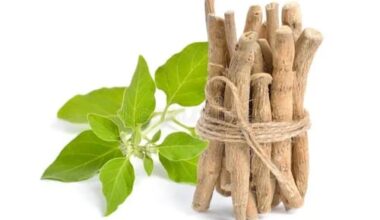 अश्वगंधा नागौरी -Ashwagandha 200 GM