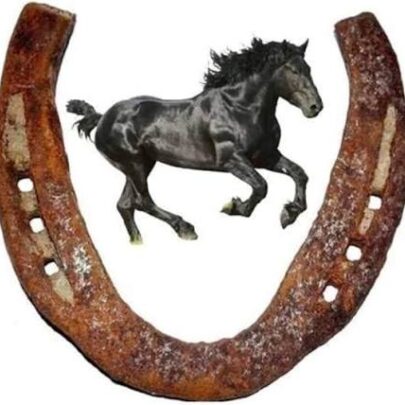 काले घोड़े की नाल असली - Original Black Horse Shoe/Kale Ghode Ki Naal